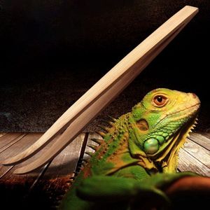 Schuine Reptiel Terrarium Voeden Tang Pincet Milieuvriendelijke Bamboe Voeden ToolNew Qgnv