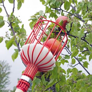 Metalen Fruit Picker Tuinieren Appels Peren Perziken Sinaasappels Vruchten Catcher Tuingereedschap