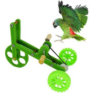 Papegaai Educatief Speelgoed Fiets Papegaai Benodigdheden Apparatuur Papegaai Fiets Papegaai Speelgoed Vogel Speelgoed Voor Papegaai Accessoires