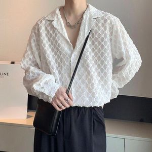 Holle Plaid Shirts Mannen Japan Koreaanse Streetwear Dark Black Loose Casual Lange Mouwen Shirts Mannelijke Mesh Jurk Shirts Tops