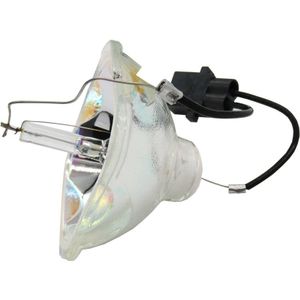 Projector Lamp ELPLP67 V13H010L67 Voor Epson EB-X02 EB-S02 EB-W02 EB-W12 EB-X12 EB-S12 S12 EB-X11 EB-X14 EB-SXW11 EB-SXW12 EB-S01