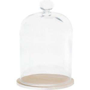 Clear Bloem Glas Cover Transparante Gedroogde Bloem Glas Cover Diy Led Verlichting Display Kaars Stofkap Craft