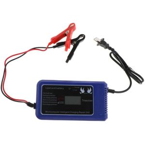 10A Acculader Puls Reparatie Auto Moto Batterij Lader Universele Voor Atv