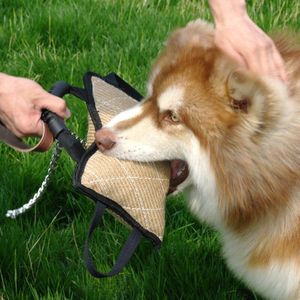 Hond Training Speelgoed Duurzaam Huisdier Beet Touwtrekken Interactieve Spelen Speelgoed Voor Outdoor Reizen Sport Voor Medium Grote Hond
