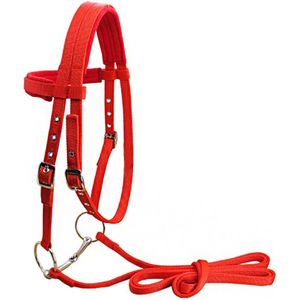 Verstelbare Strap Rein Belt Rijden Apparatuur Thicken Concurrentie Keel Snap Paard Halter Sport Met Bit Polar Fleece Beschermende