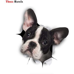 Drie Ratels FC57 3D Hond Sticker Zwart Wit Frenchie Franse Bulldog Decal Bumper Sticker Voor Raam Auto Vrachtwagen Laptop Wc