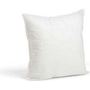 Foamily Premium Hypoallergeen Stuffer Kussen Insert Sham Vierkante Vorm Polyester, 16 ""L X 16"" W, Wit