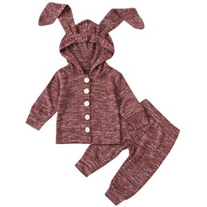 Focusnorm Herfst Winter Baby Meisjes Jongens Kleding Set Solid Lange Mouwen 3D Oor Hooded Jas En Broek Broek