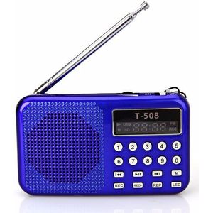 Redamigo Digitale Fm Radio Micro Sd/Tf Usb Disk Mp3 Radio Lcd-scherm Internet Radio Met Luidspreker t508R