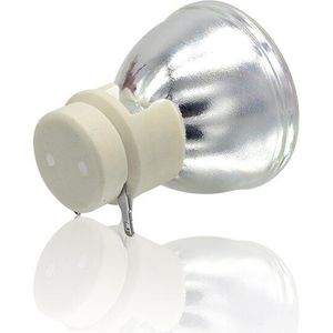 BL-FP190E Projector Kale Lamp Vervanging Voor Optoma BR323 BR326 DH1008 DH1009 DS345 DS346 DX345 EH200ST GT1070X