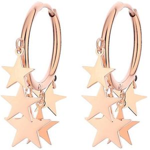 Verklaring Rvs Oorbellen Rose Gouden Kwastje Sterren Hoops Oorbellen Voor Vrouwen Accessoires Partij Sieraden Brincos