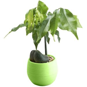 Best Selling Producten Mini Kleurrijke Ronde Plastic Plant Bloempotten Home Office Decor Ronde Plastic Planter Bloempot