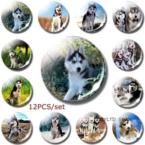 Siberische Husky Magneet Wolf Hond Koelkast Magneten 12 STUKS Set Glas Cabochon Hond Decoratie Dier Stickers Home Decor