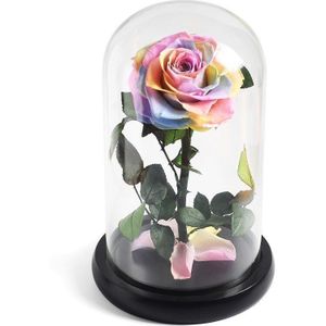 Schoonheid En Het Beest Rode Roos In Een Glazen Koepel Op Rose Woonkamer Slaapkamer Tafel Decoraties Valentijnsdag verjaardag