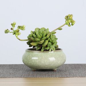 1 Stuk Ijs-Crack Keramische Bloempotten Voor Sappige Planten Kleine Bonsai Pot Huis En Tuin Decor Mini Succulent plant Potten