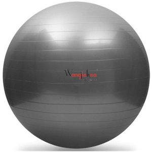 -Sport Yoga Bal Fitness Gym Balance Ball Explosieveilige Fitball Dikke Zwangere Vrouwen Bal Fitness Pvc Gym bal 75Cm