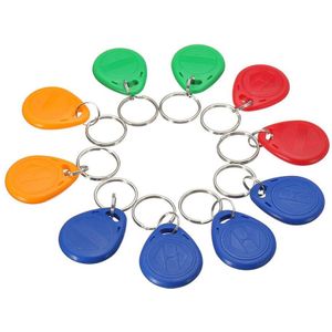 125Khz EM4100 Rfid Copier Schrijver Duplicator Programmeur Reader + T5577 EM4305 Herschrijfbare Id Keyfobs Tags Cloner Card 5200 Psp