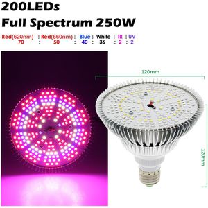 250W Led Grow Lamp E27 Led Plant Lamp 200 Leds Sunlike Volledige Spectrum Kweeklampen Voor Kamerplanten groenten En Zaailing