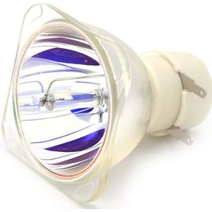 Compatibel blote Projector Lamp NP36LP Voor NEC V302W/V302X Projectoren