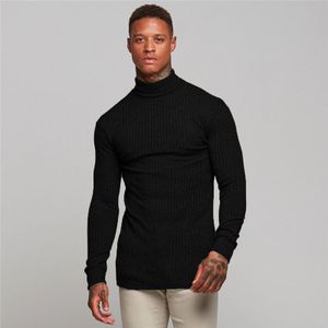 Herfst Mannen Coltrui Truien Mannelijke Solid Slim Fit Gebreide Truien Casual Truien Truien Pull Homme