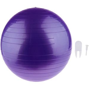 Yoga Oefening Bal Pvc Workout Gids Bal Voor Gym Pilates Balance Stabiliteit Fitness Body Building - Anti Burst Geen Slip 45Cm/85Cm