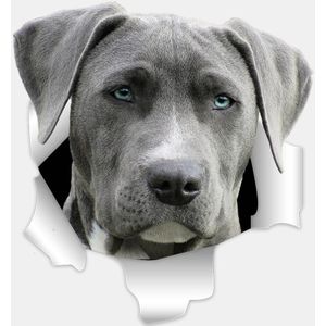 Drie Ratels 3D Grey Weimaraner Hond Stickers Super Staffie Decal Op Muur Koelkast Wc Auto Fiets