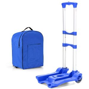 Hoveron Opvouwbare Draagbare Trolley Mini Aluminium Bagage Familie Reizen Winkelen Trolley Case Winkelwagen Trolley Koffer Schooltas