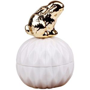 Novelty Leuke Dieren Witte Keramische Oorbel Sieraden Dozen Wedding Ring Trinket Doos Keuken Opslag Jar Box Ambachten