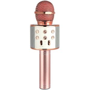 Draadloze Draagbare Handheld Bluetooth Karaoke Microfoon Zingen Machine