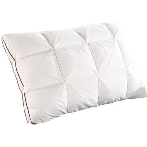 Beyond Cloud 48*74 Cm Brand 3D Brood Witte Eend/Ganzendons Veren Kussen Standaard Antibacteriële Elegante thuis Textiel 044