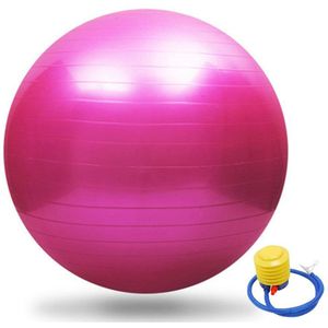 Oefening Yoga Bal Fitness Balance Gymnastiek Sterkte 55cm Trendy Yoga Ballen Accessoire Imiteren Componenten Yoga Gereedschap Body Fiit