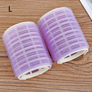 2 Stks/partij Haar Rollen Bang Roll Curler Haar Krultang Plastic Zelfklevende Haar Curling Kappers Gereedschap Meisje Schoonheid Styling tool