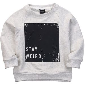 Peuter Baby Kinderen Lange Mouw Jongen Meisjes Kleding Herfst Sweatshirt Truien Trui Tops