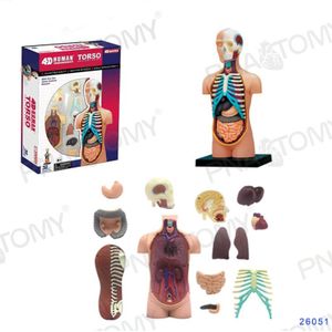 4D Master Human Kofferbak Model Afneembare 32 Onderdelen Viscerale Organen Anatomie Educatief Speelgoed
