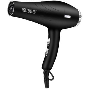 High Power - FT-001 - Haardroger - 1000W - Warm en Koud - EU Plug