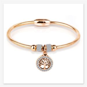 Rvs Magneet Vrouw Armband En Bangles Rose Gold Zirkoon Armbanden Armbanden Vrouwen Accessorie Zilveren Sieraden