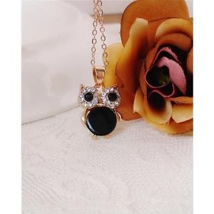 Klassieke Japanse en Koreaanse Uil Sleutelbeen Ketting Zwart en Wit Shell Dier Hanger Ketting