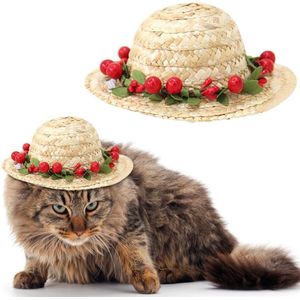 Aankomst Multicolor Huisdier Bloem Berry Stro Hoed Hond Kat Mexicaanse Stro Sombrero Hoed Pet Gesp Kostuum