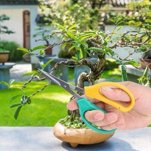 Tuin Schaar 2 Stuks Druif Snoeischaar Rvs Bonsai Scharen Fruit Tak Plukken Schaar Tuin Snoeien