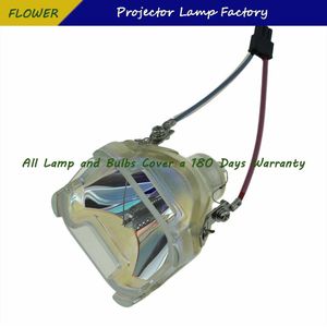 SP-LAMP-005 Projector kale Lamp Voor INFOCUS C40/LP240/DP2000S-180 Dagen Garantie