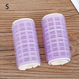 2 Stks/partij Haar Rollen Bang Roll Curler Haar Krultang Plastic Zelfklevende Haar Curling Kappers Gereedschap Meisje Schoonheid Styling tool