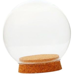 Handgeblazen Glazen Ei Vormige Ronde Bubble Terrarium Glazen Globe Bal Miniatuur Micro Landschap Moderne Container Deksel Vaas Fles