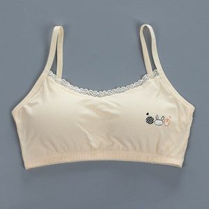 Grote Meisjes Training Bras 13-18years Oude Zomer Kinderen Zachte Ondergoed 16 Meisjes Accessoires 18 Ademend Bh Voor Tienermeisjes Kant