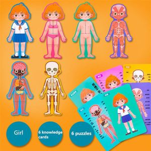 Houten Body Puzzels Structuur Cognitieve Puzzel Educatief Speelgoed Voor Kinderen Interactief Speelgoed Biologische Menselijk Lichaam Matching Game