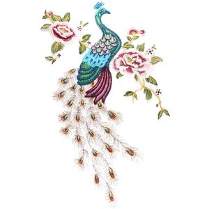 Mode Borduurstof Pauw Kant Naaien Applique Kant Kraag Hals Kraag Applique DIY Kleding Accessoire Scrapbooking