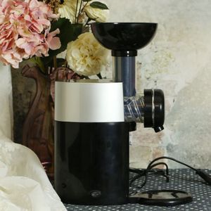 Big Boss Swirlio Automatische Bevroren Fruit Dessert Machine Fruit Ijs Machine Maker Milkshake Machine