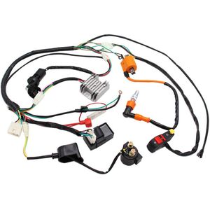 Vervanging Voor Atv Quad 150/200/250/300CC Compleet Elektra Kabelboom Loom Cdi Coil