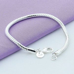 925 Sterling Zilver 4 Mm Slang Ketting Armband Voor Vrouwen Mannen Mode-sieraden