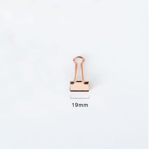 TUTU 10 stks/partij Effen Kleur Rose Gold Metal Bindmiddelenklemmen Notities Brief Paperclip Kantoorbenodigdheden H0059