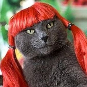 [Mpk Pet Store] Rode Pet Pruik, Grappige En Leuke Kat Pruik, Hond Pruik, kunstmatige Oranje Haar, Rood Haar Voor Huisdieren